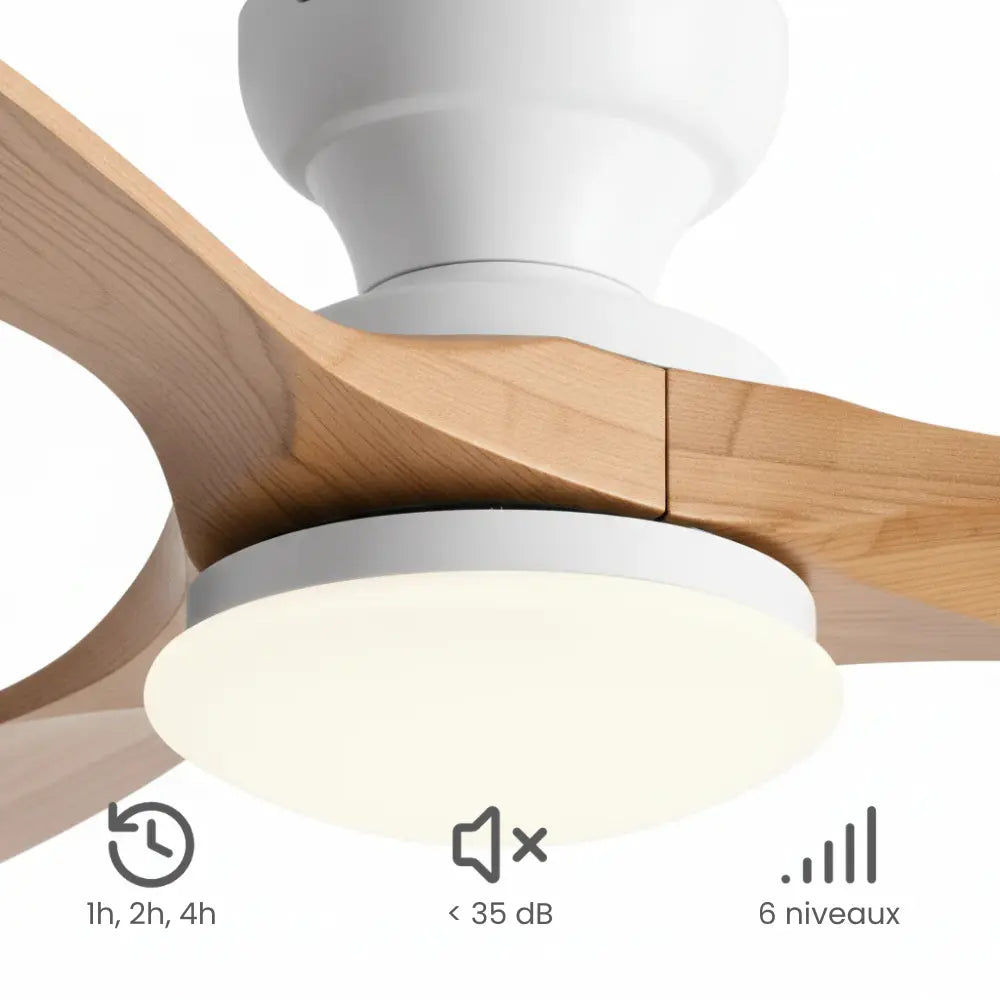 Ventilateur de Plafond Bois Naturel LED | Maelo