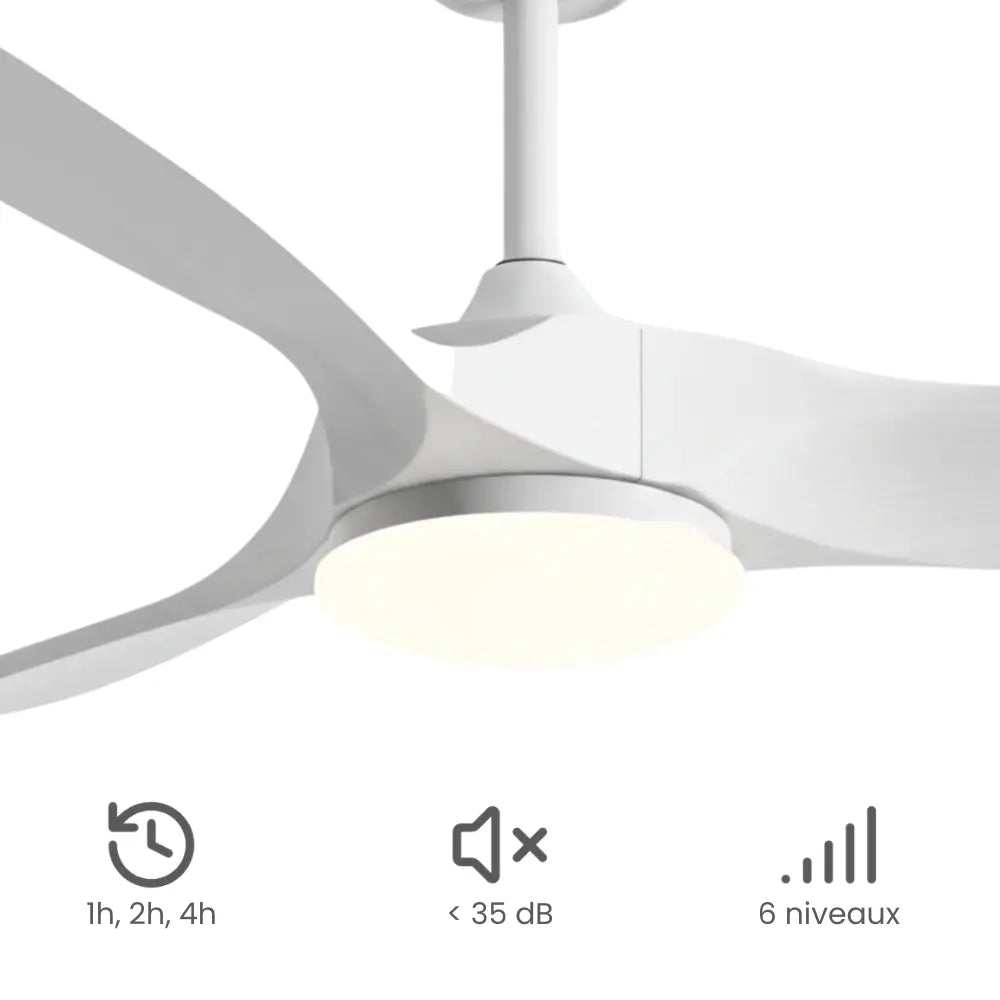 Ventilateur de Plafond Bois Blanc LED | Pavo