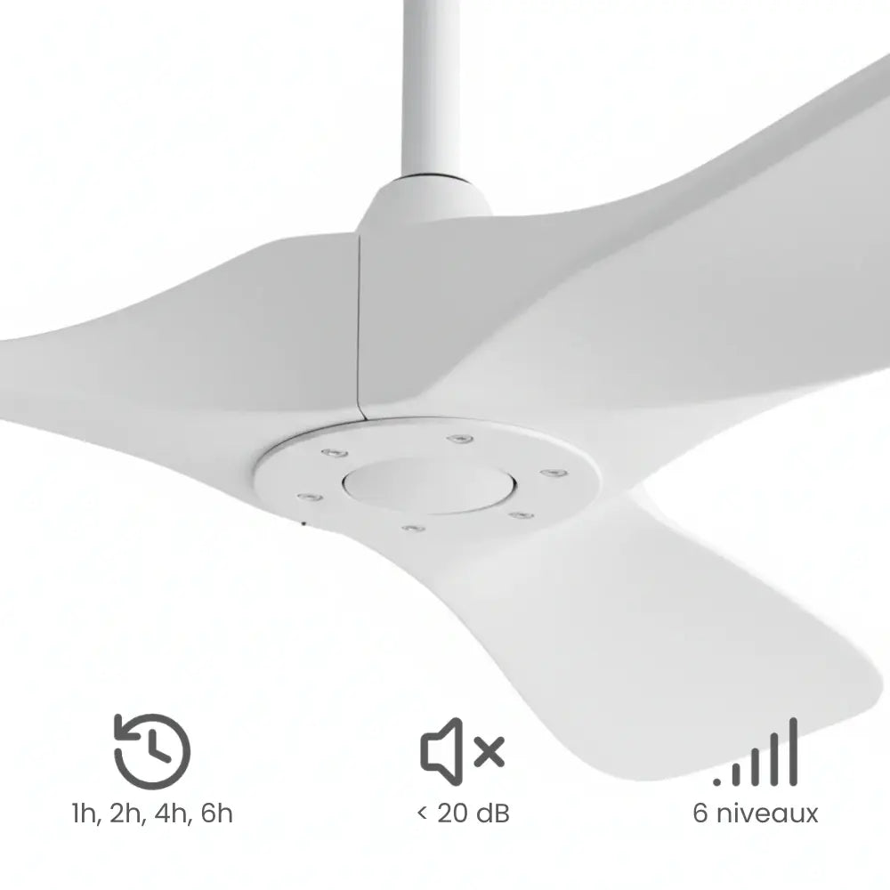 Ventilateur de Plafond Vintage Blanc | Linoa