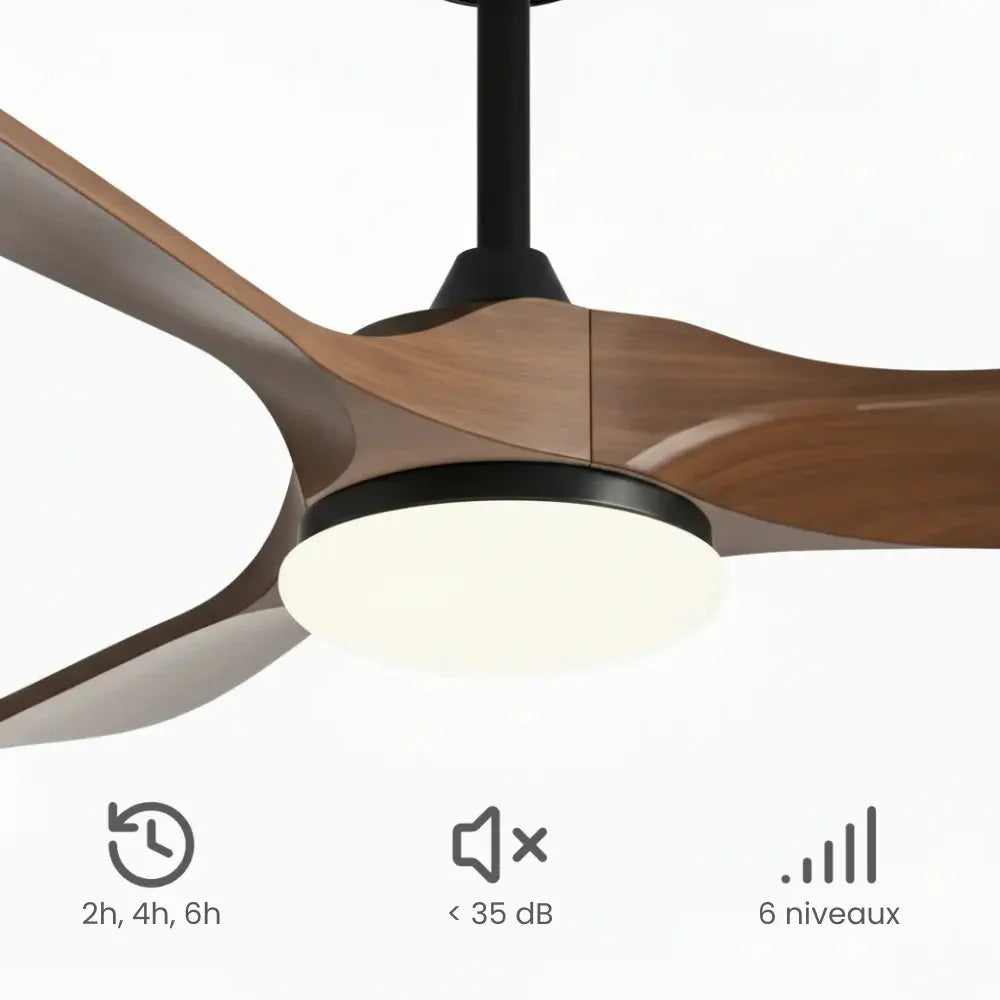 Ventilateur de Plafond Bois Noir | Calio