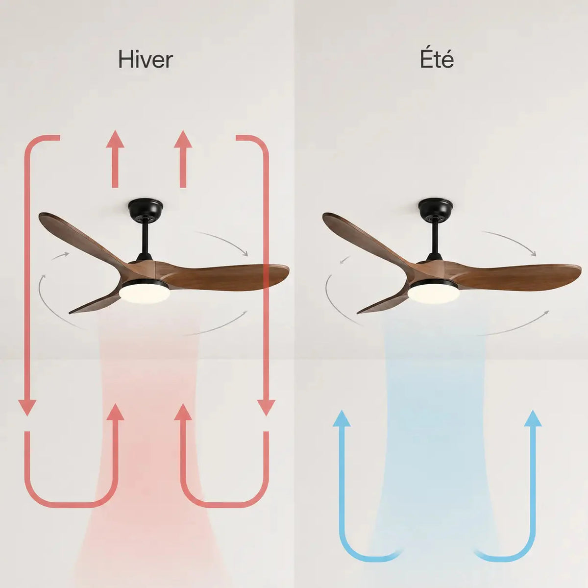 Ventilateur de Plafond Bois Noir | Calio