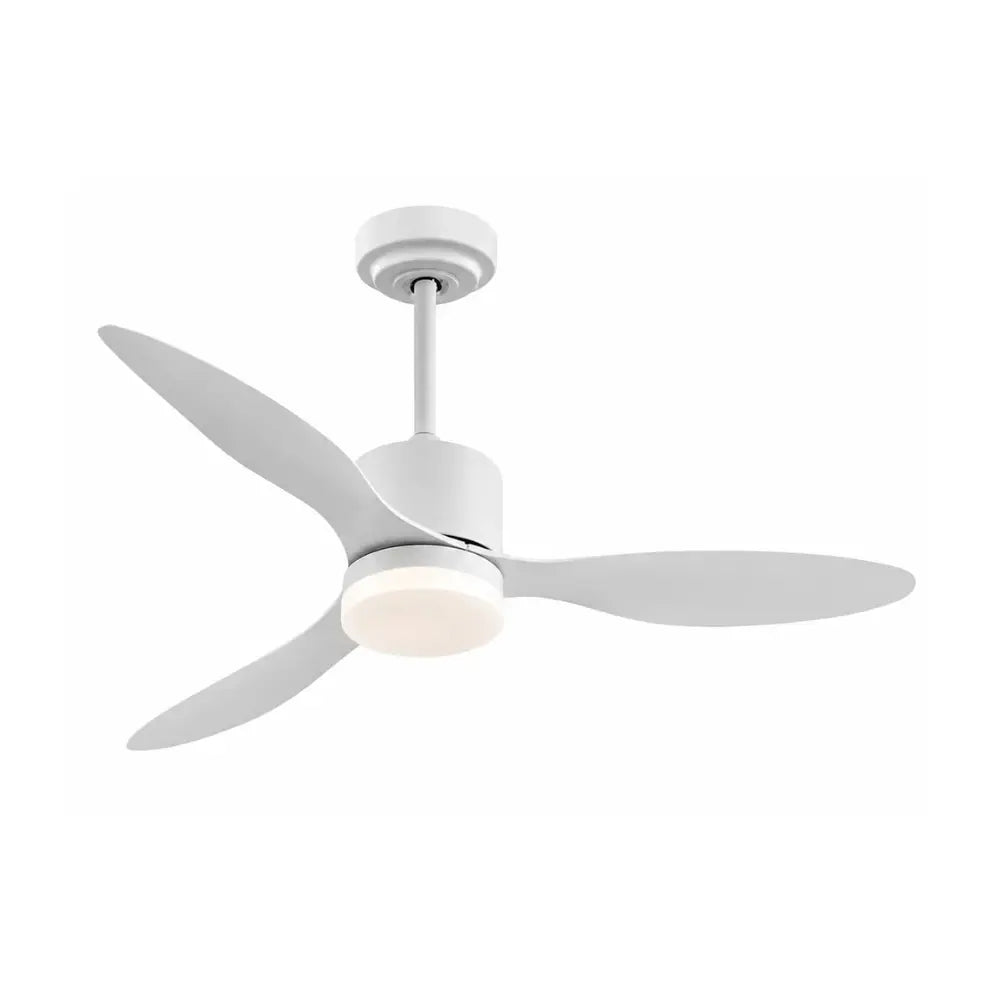 Ventilateur de Plafond Épuré LED | Ovia