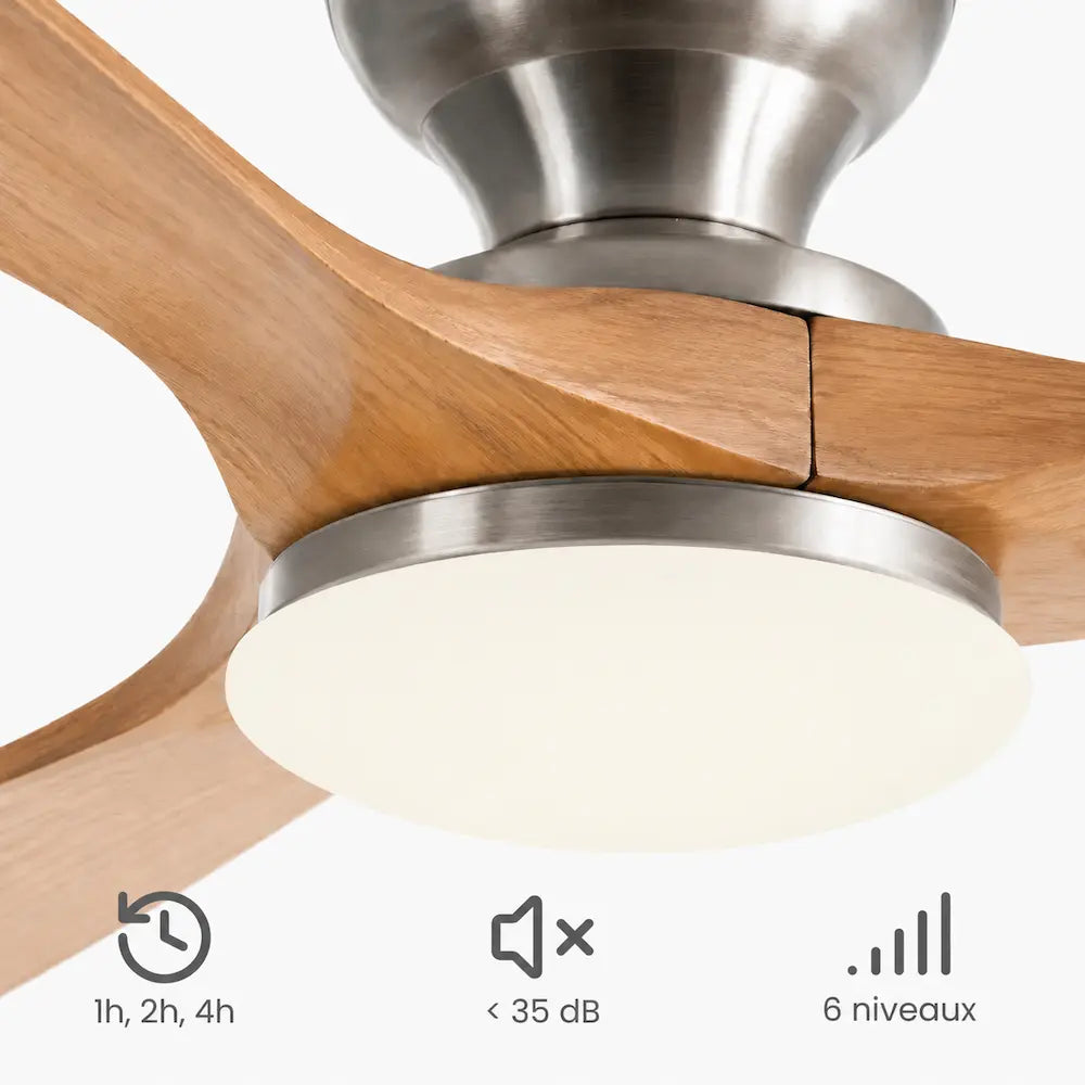 Ventilateur de Plafond Naturel LED | Tavio