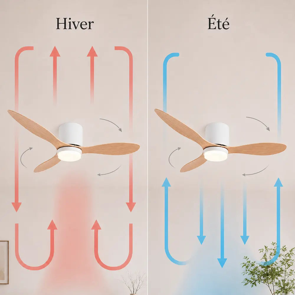 Ventilateur de Plafond Bois Clair LED | Favo
