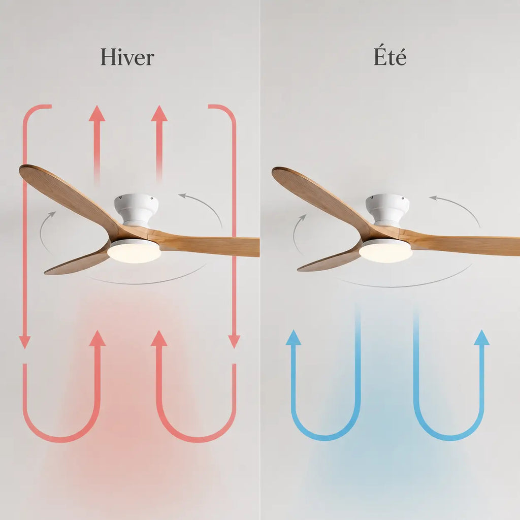 Ventilateur de Plafond Bois Naturel LED | Maelo