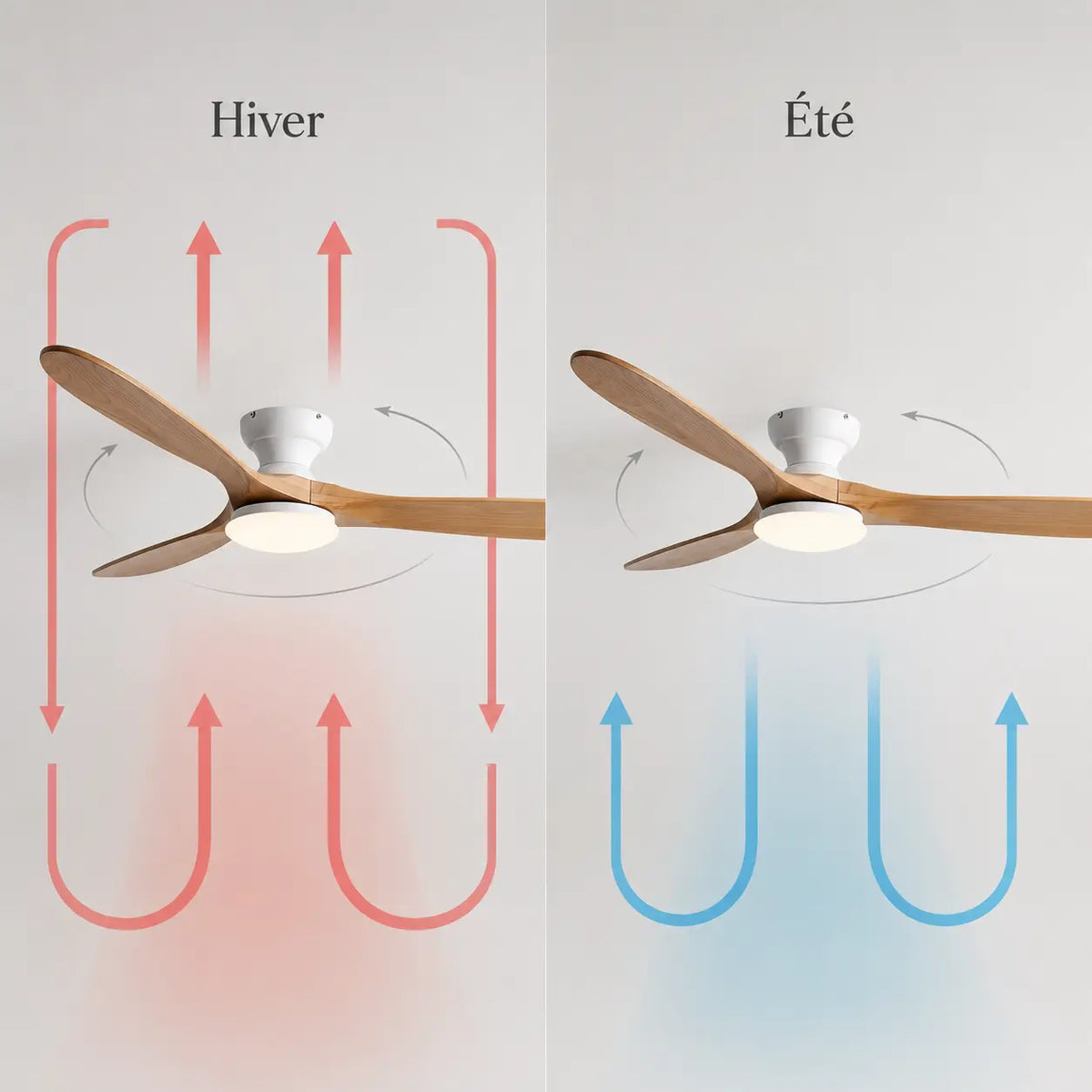 Ventilateur de Plafond Bois Naturel LED | Maelo