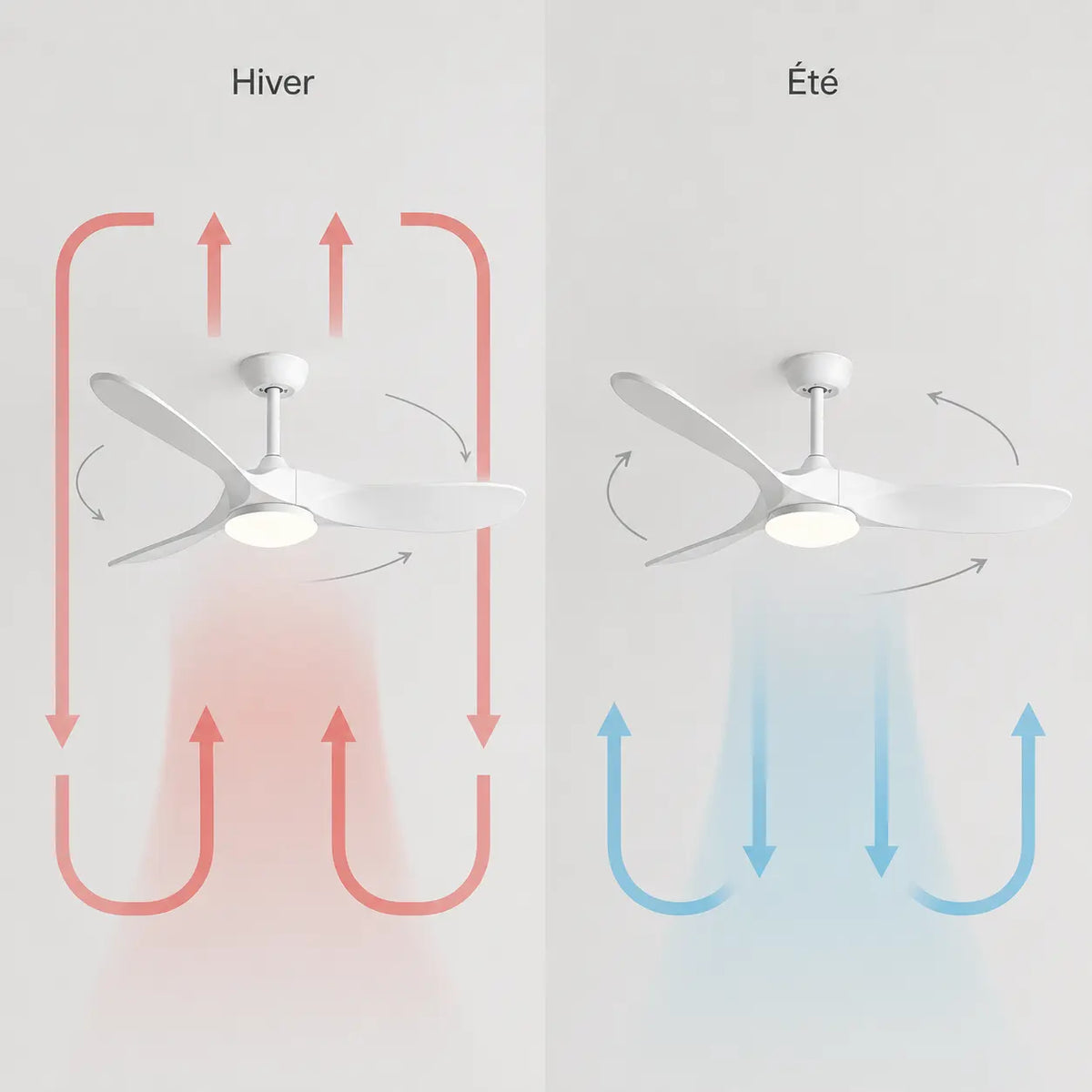 Ventilateur de Plafond Bois Blanc LED | Pavo