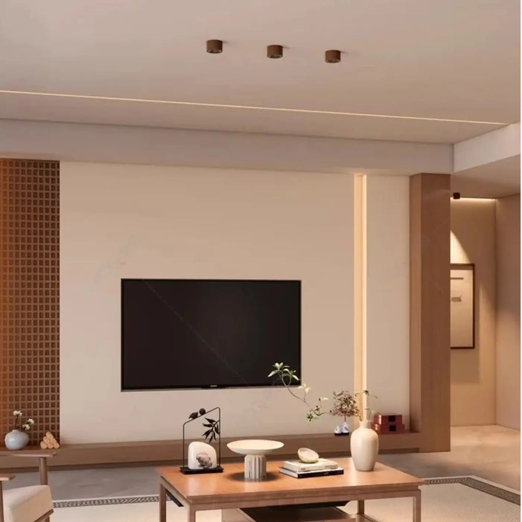 Plafonnier LED Bois et Chrome | Eka